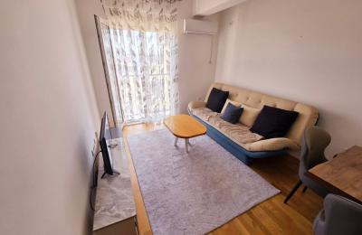 Furnished One-Bedroom Apartment with Secured Parking at Stari Aerodrom